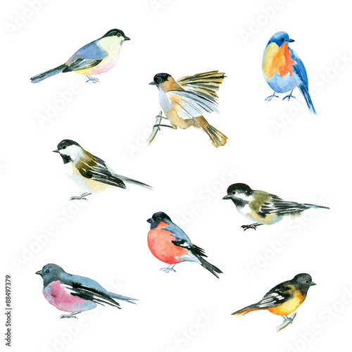 Set of watercolor little birds