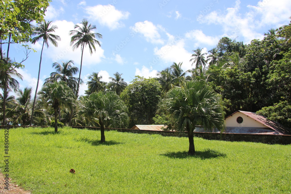Guyane - Les Îles du Salut - Août 2015