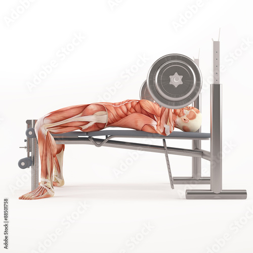 Fototapeta Naklejka Na Ścianę i Meble -  Bodybuilding gym exercising. Wide grip barbell bench press. Chest muscle group. White background, side view