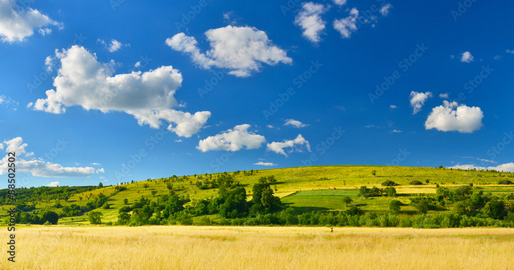 Summer countryside