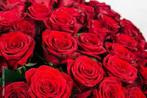 Close-up of large bouquet of 101 red rose isolated on white