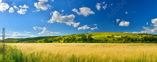Panorama of summer countryside © denis_333