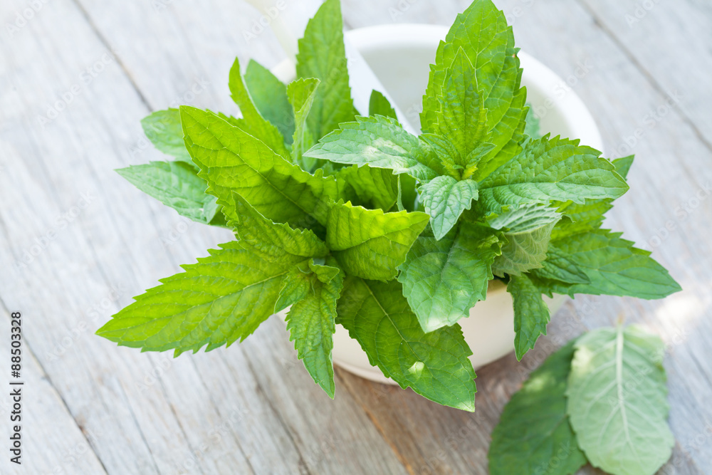 Fresh mint in mortar