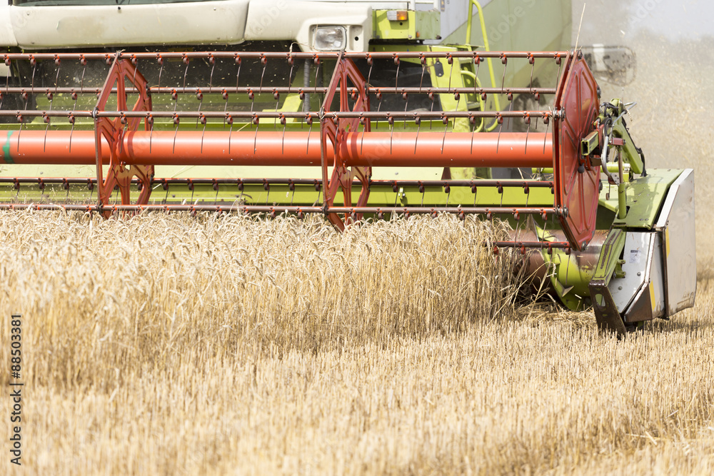 Fototapeta premium cutting mechanism in harvester