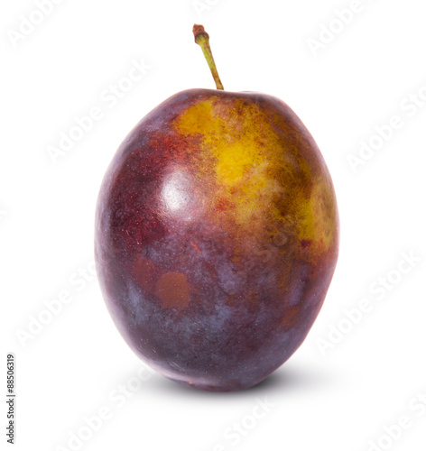 Single violet plum