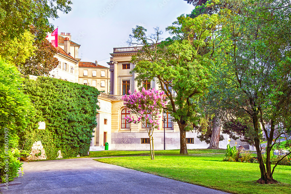 Geneva street view with trees in summer