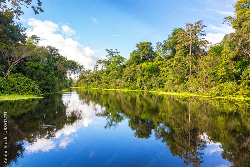 Amazon rain forest perfectly reflected in a small river near Iquitos, Peru