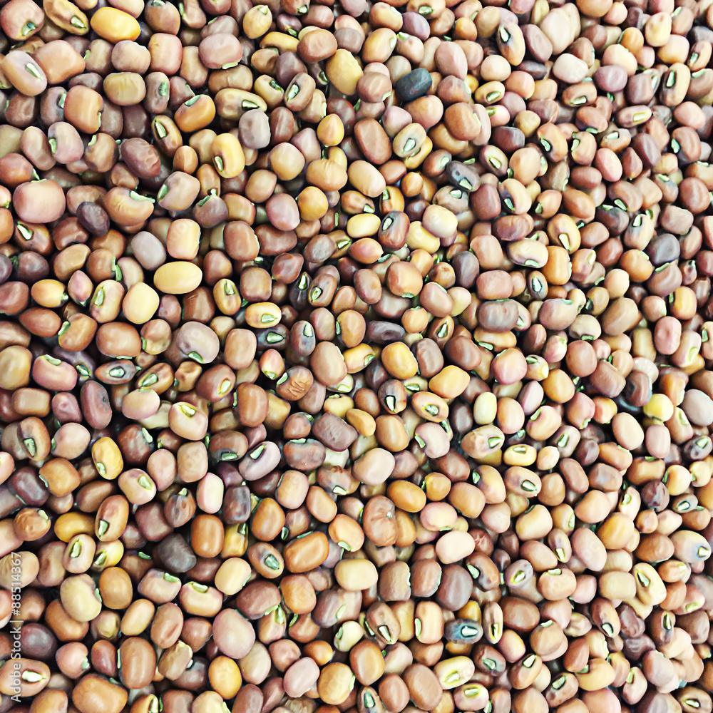 a lot of red beans for background uses a lot of red beans for background uses