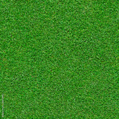 Seamless green grass background
