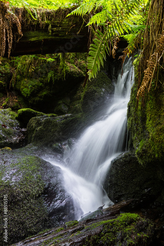 serene waterfall in the forest