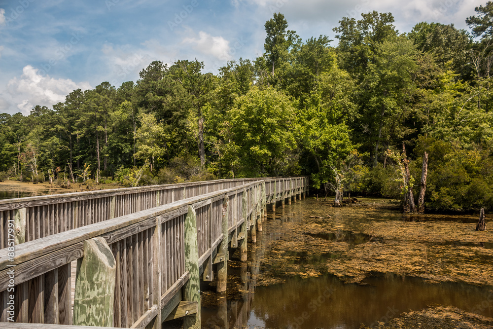 Side view of bridge over swamp in Newport News Park, Newport News, Virginia