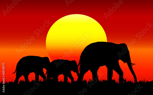 Silhouette of elephant with sunset
