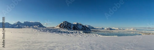 Fotografie, Obraz Arctic spring in south Spitsbergen