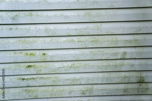 Alage & Mold On A House With Vinyl Siding