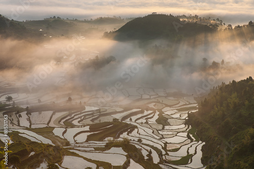 Rice fields on terraced in surice, photo