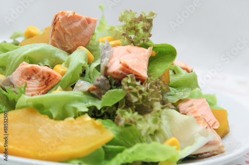 salmon salad