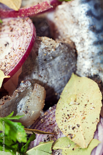 Close up of raw fish pieces with onion and herbs photo