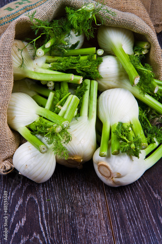 Fresh fennel on wooden background