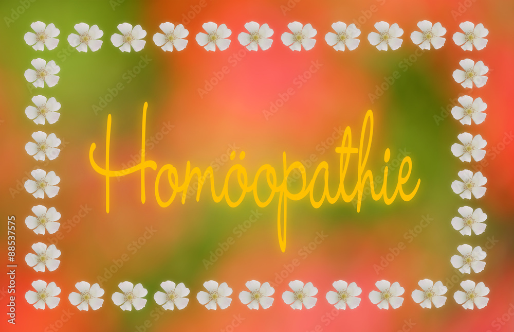 Schild Homöopathie in Pastellfarben mit floraler Umrahmung aus Wildrosen