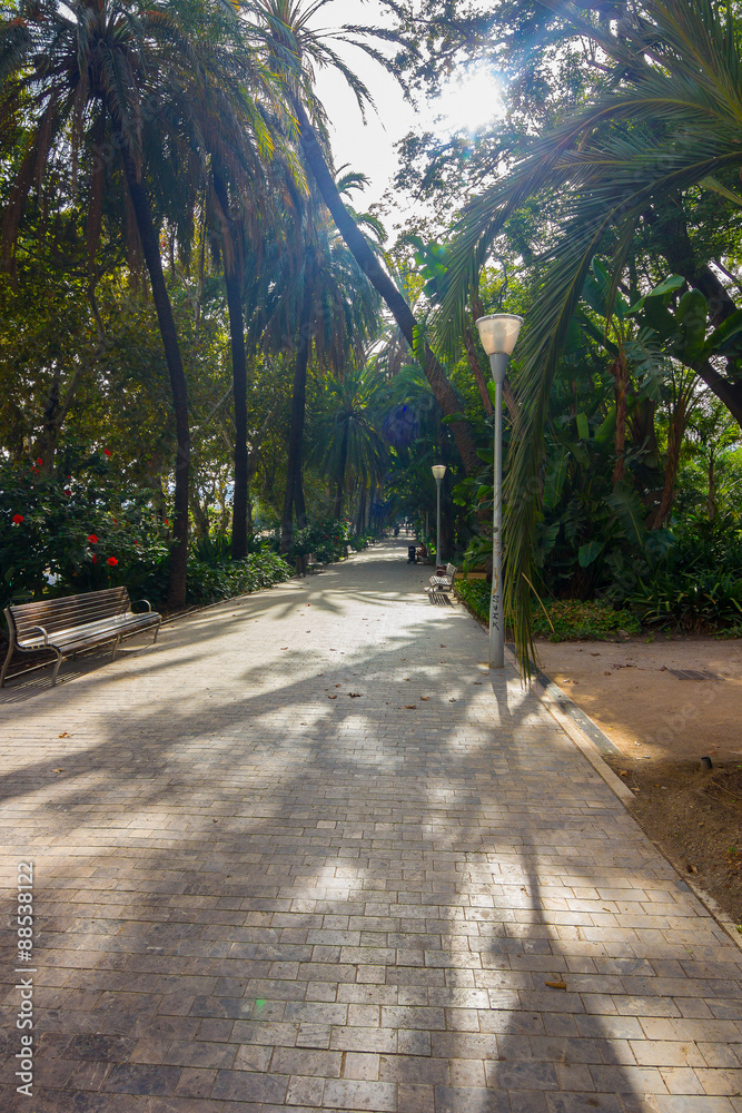 paths to stroll through the gardens of the Parque de Malaga, Spa