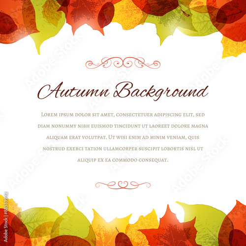Autumn Background with Leaves at the Top and Bottom