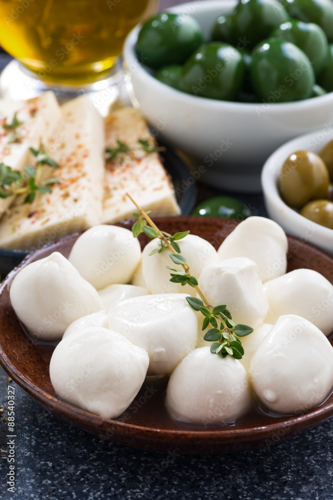 Fresh mozzarella cheese on a plate, vertical, close-up