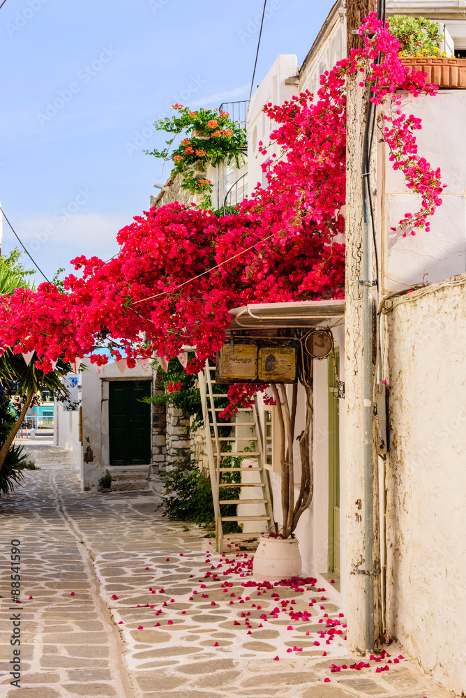 Fototapeta ulica w starym miasteczku Parikia, Paros wyspa, Cyclades, Grecja.