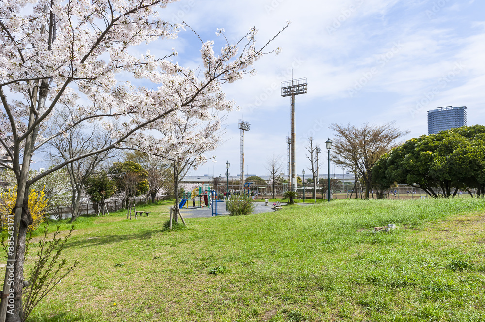 桜が咲いた季節の潮見運動公園