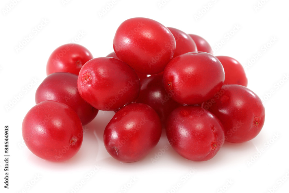 sweet dogberry sweet dogberry