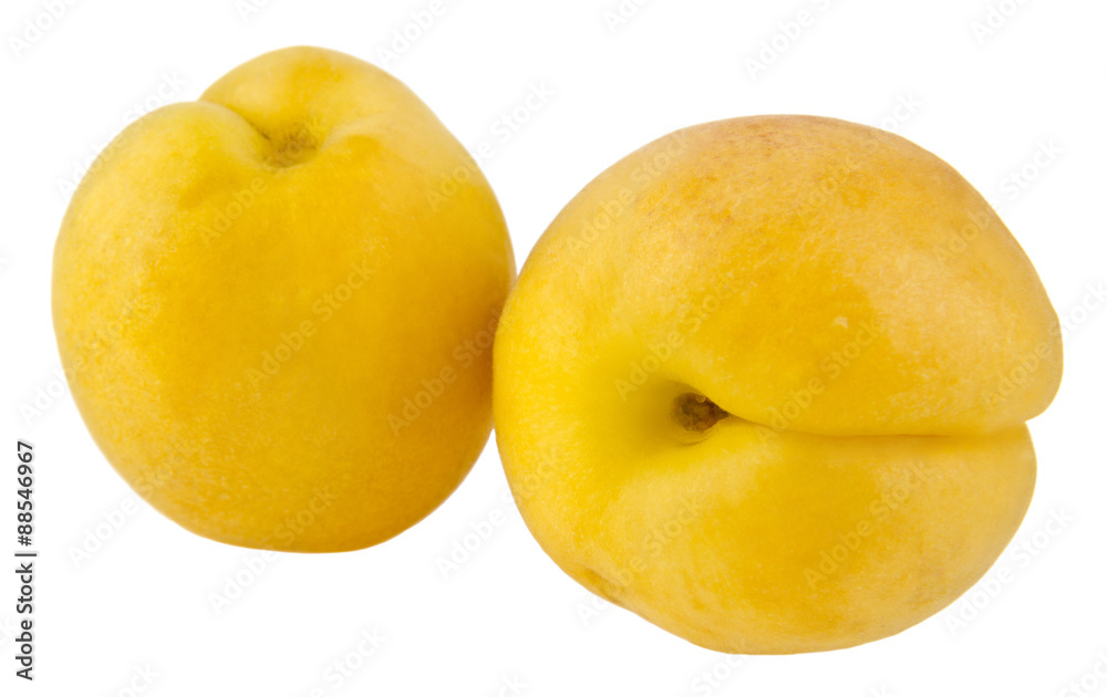 apricots