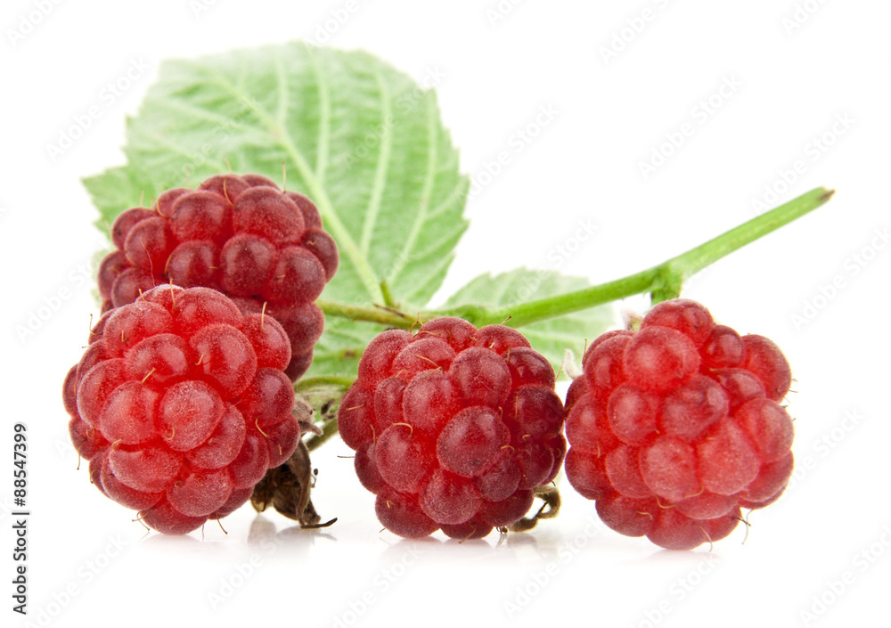 raspberry raspberry