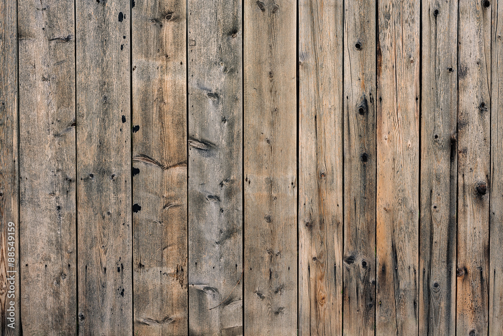 Fototapeta premium Holzwand