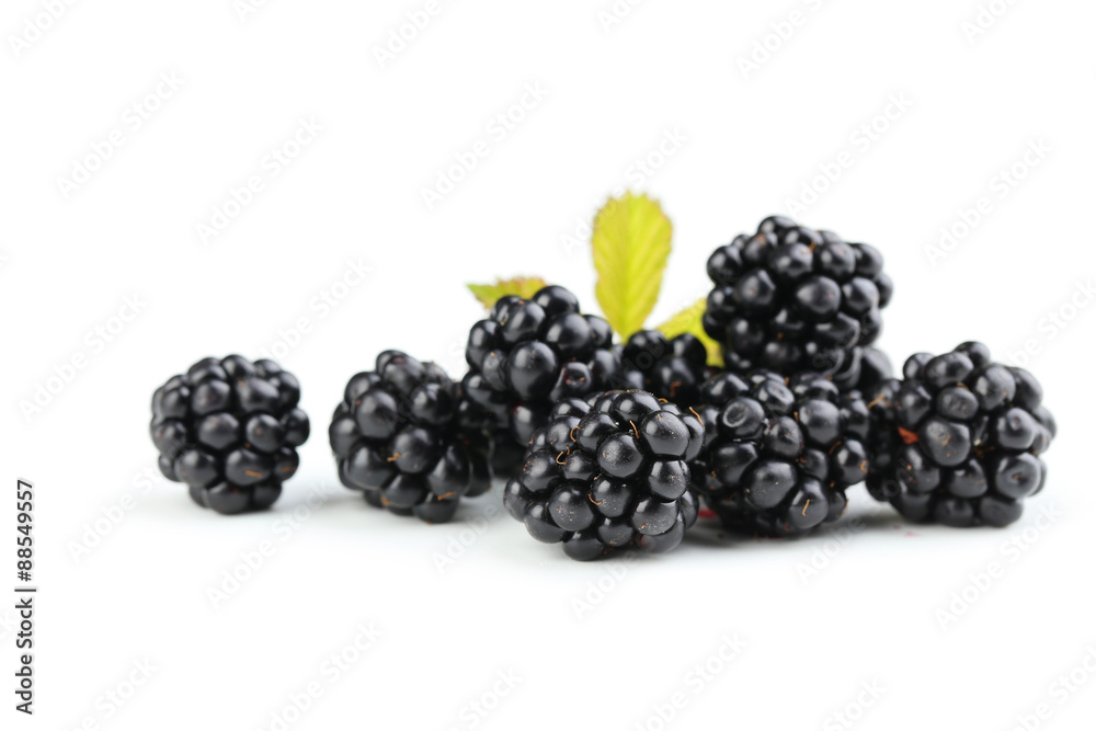 Blackberries isolated on a white Blackberries isolated on a white