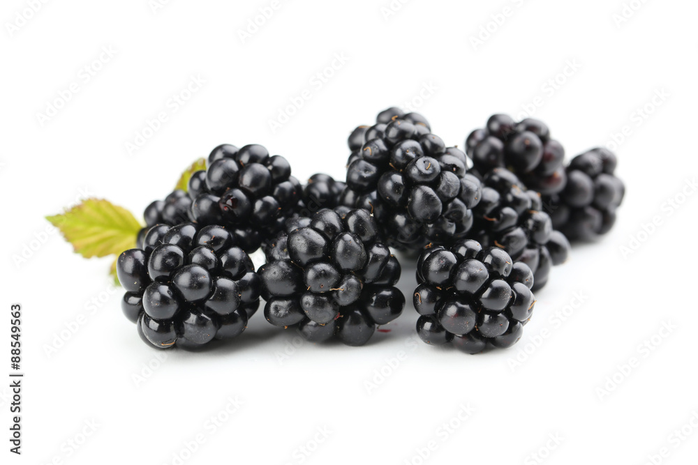 Blackberries isolated on a white Blackberries isolated on a white