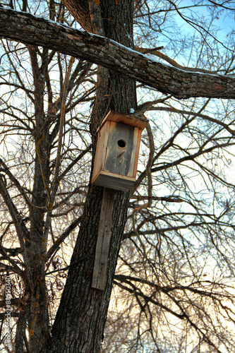 Wooden birdhouse on tree trunk for wintering birds