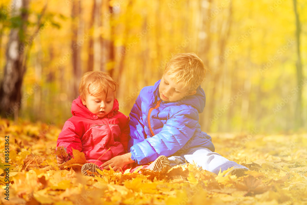 boy and girl playing in autumn leaves boy and girl playing in autumn leaves