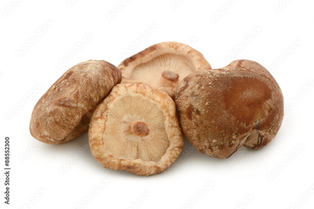 mehrere Shiitakepilze mehrere Shiitakepilze