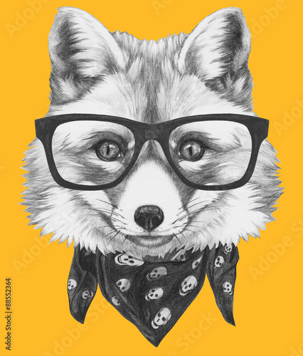 Original drawing of Fox with glasses and scarf. Isolated on colored background