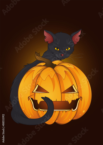 Happy Halloween Cat 