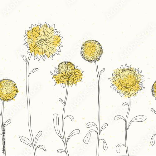 Sunflower. Floral background.