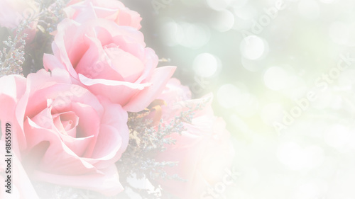 Roses soft blur background in vintage pastel tones.