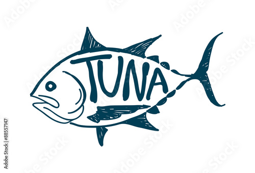 Draw tuna fish, vector