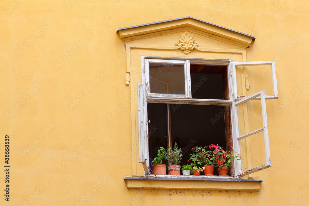 Yellow platered wall with open window