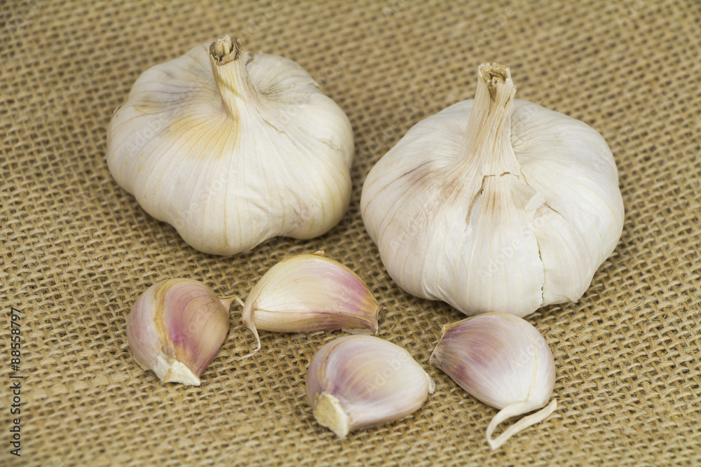 Garlic form Oganic farm on sack background Garlic form Oganic farm on sack background