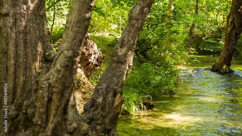 Tranquil River Flowing In Beautiful Picturesque Green Forest 