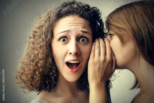 Canvas Print Whispering secrets