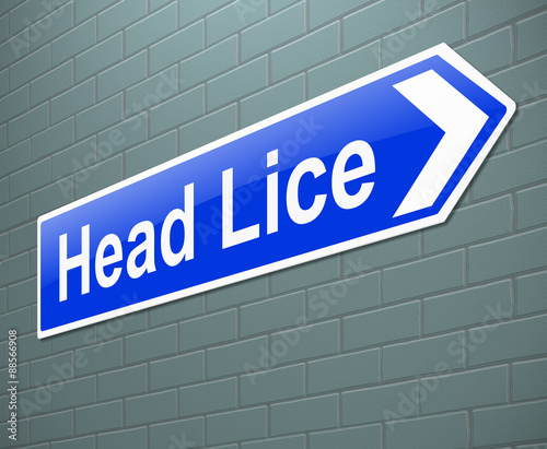 Head lice concept. photo