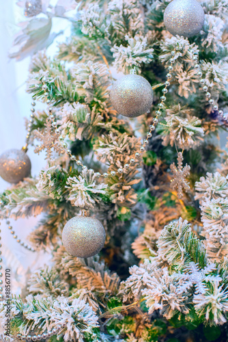 Christmas tree closeup