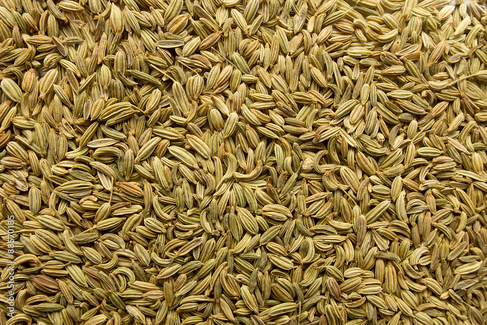 Fennel seeds top view