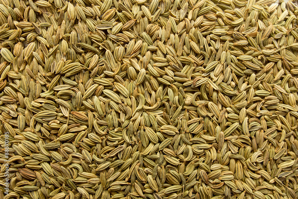 Fennel seeds top view Fennel seeds top view